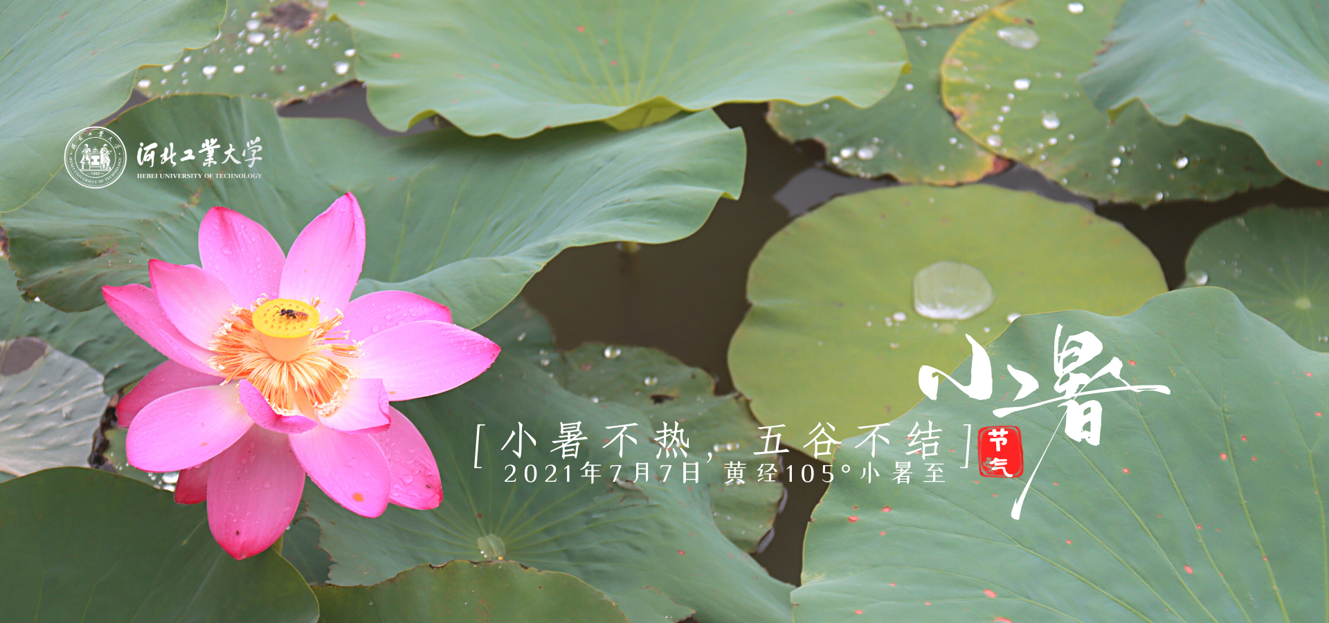 港澳六宝大典最新版